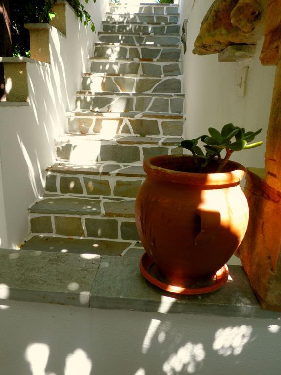 Dimitra Studios Kastrákion Exterior foto
