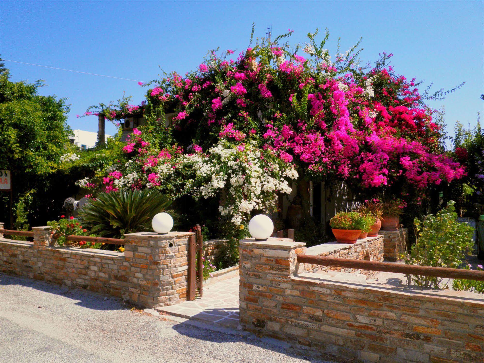Dimitra Studios Kastrákion Exterior foto