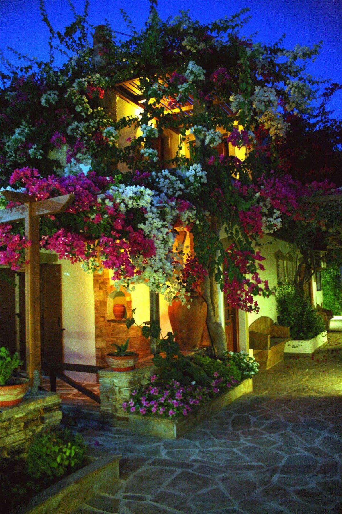 Dimitra Studios Kastrákion Exterior foto